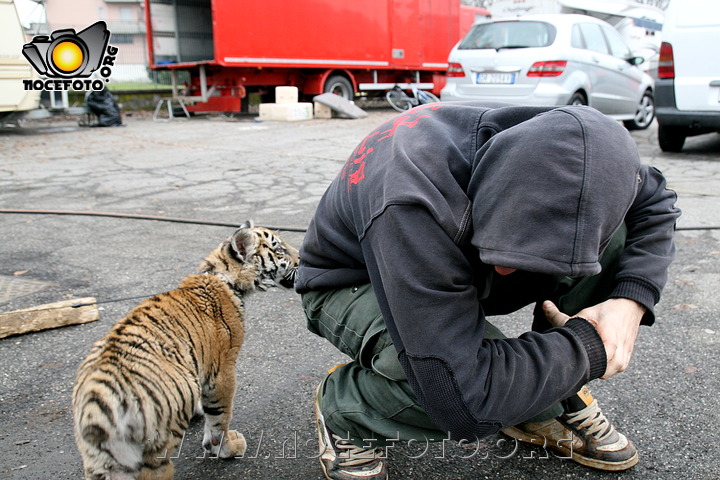 Foto n. 2011-1-5