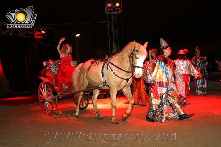 Foto n. 2011-1-523