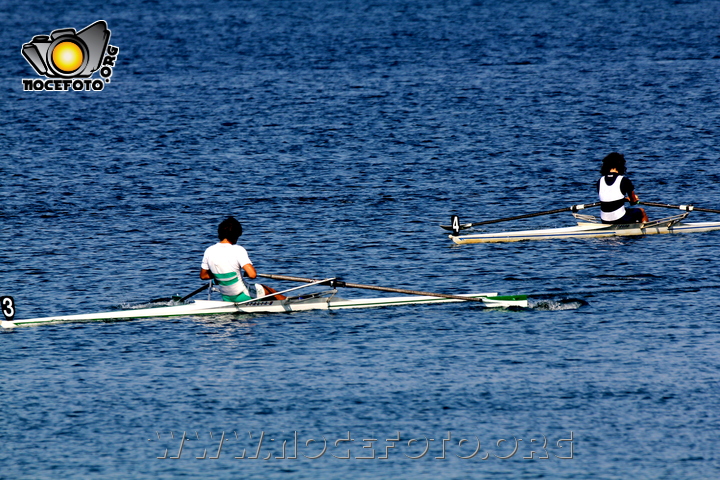 Foto n. 2011-85-118