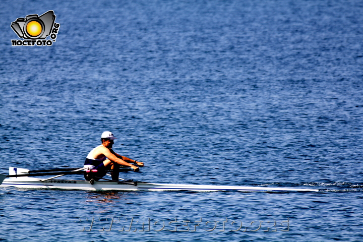 Foto n. 2011-85-208