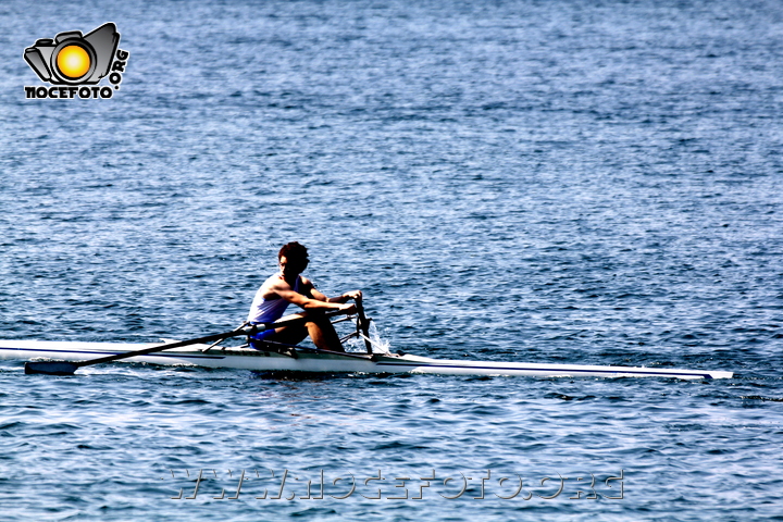 Foto n. 2011-85-232