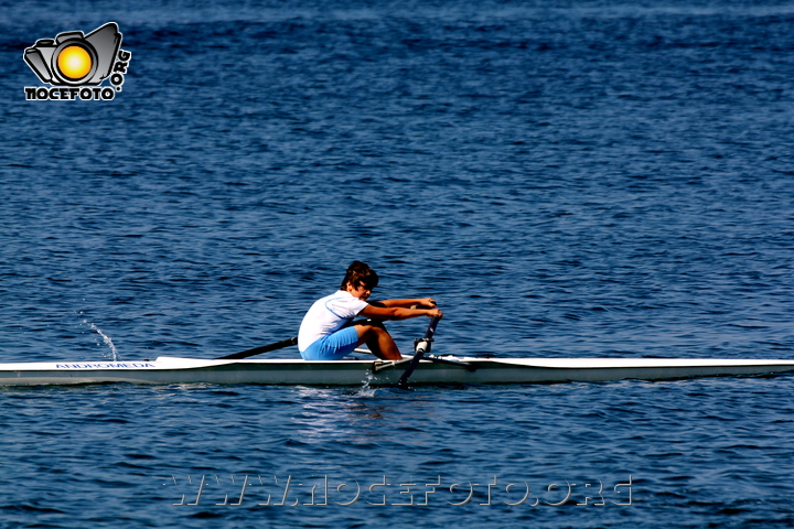 Foto n. 2011-85-273