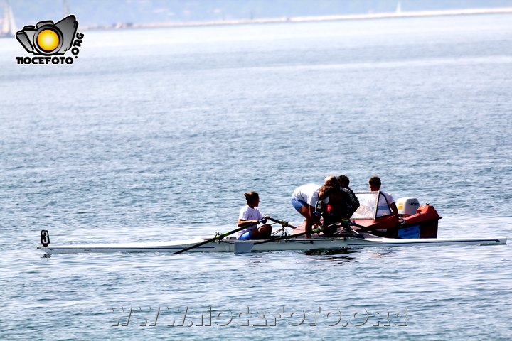 Foto n. 2011-85-333