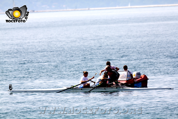 Foto n. 2011-85-334