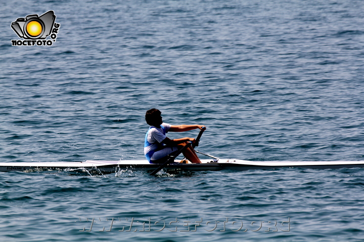 Foto n. 2011-85-535