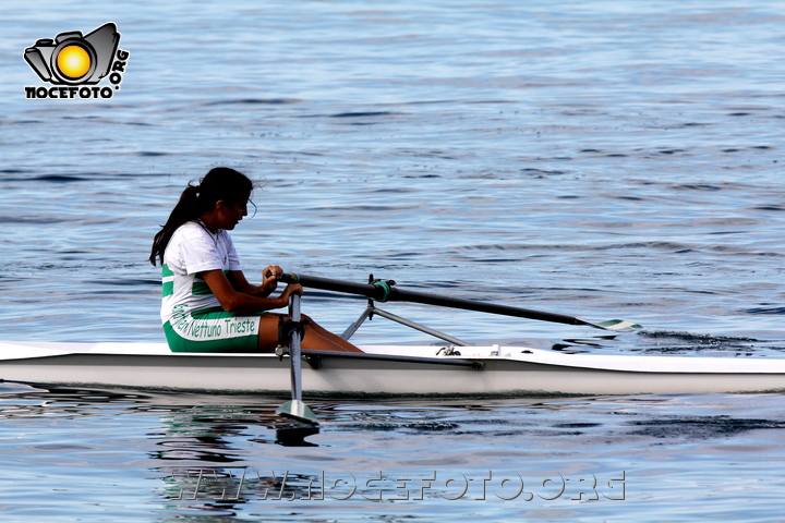 Foto n. 2011-113-118