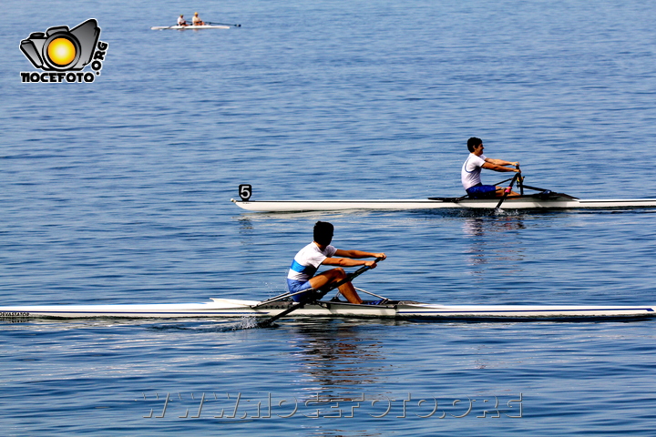 Foto n. 2011-113-169