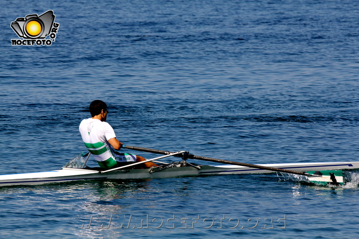 Foto n. 2011-113-284