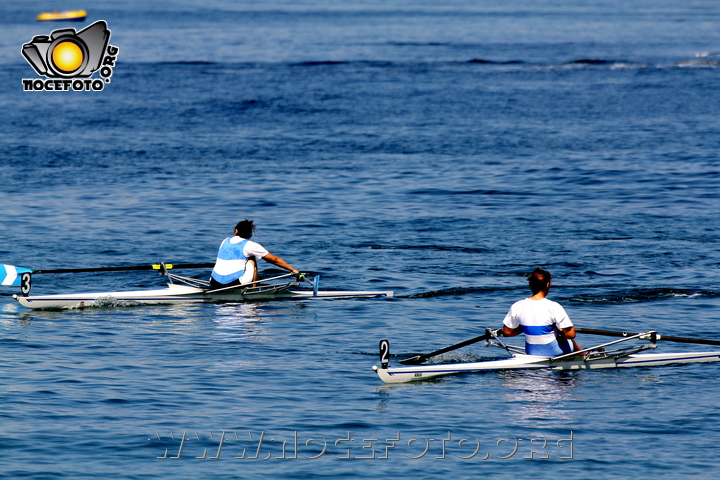 Foto n. 2011-113-295