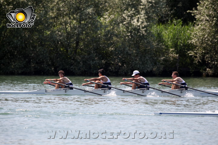 Foto n. 2014-34-134