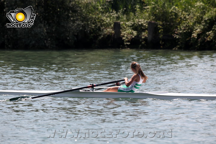 Foto n. 2014-34-203