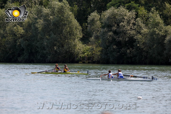 Foto n. 2014-34-231