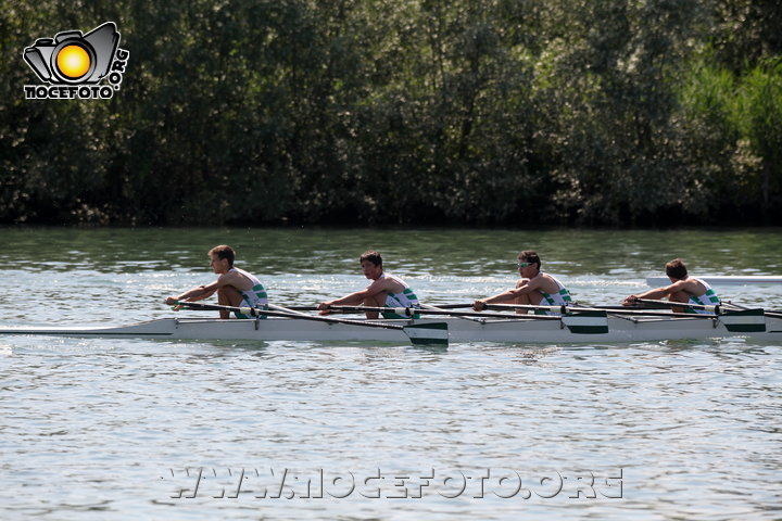 Foto n. 2014-34-272