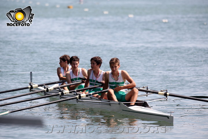 Foto n. 2014-34-302