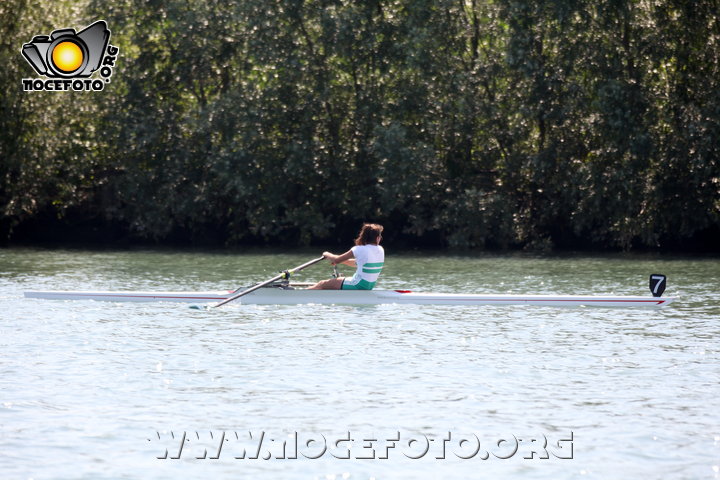 Foto n. 2014-34-306