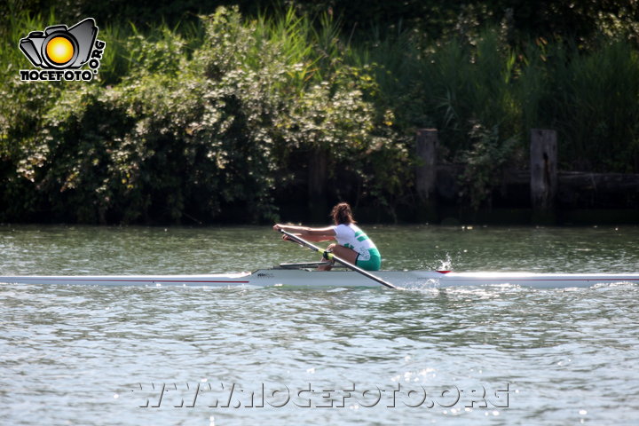 Foto n. 2014-34-309