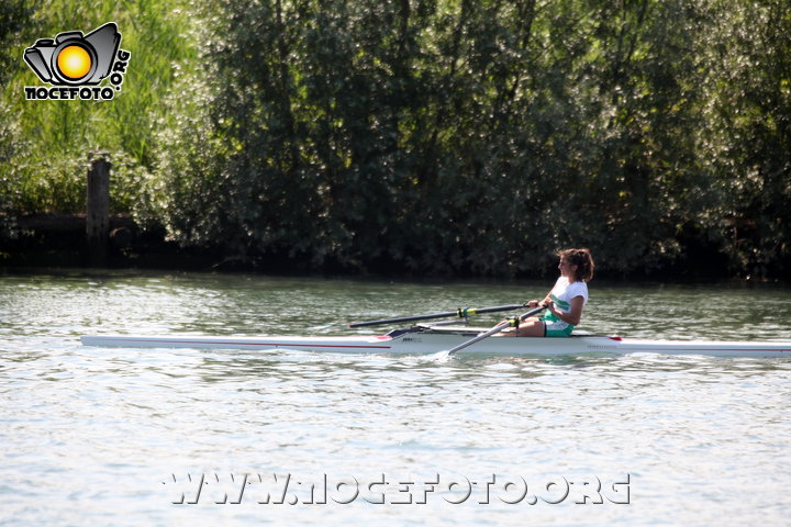 Foto n. 2014-34-310