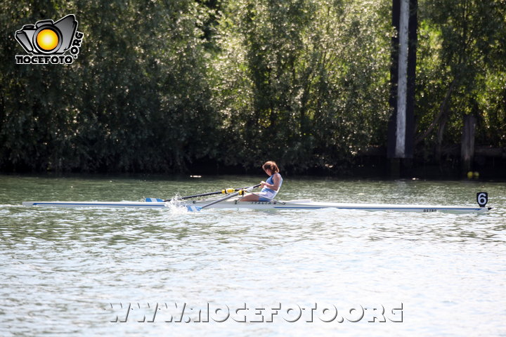 Foto n. 2014-34-311