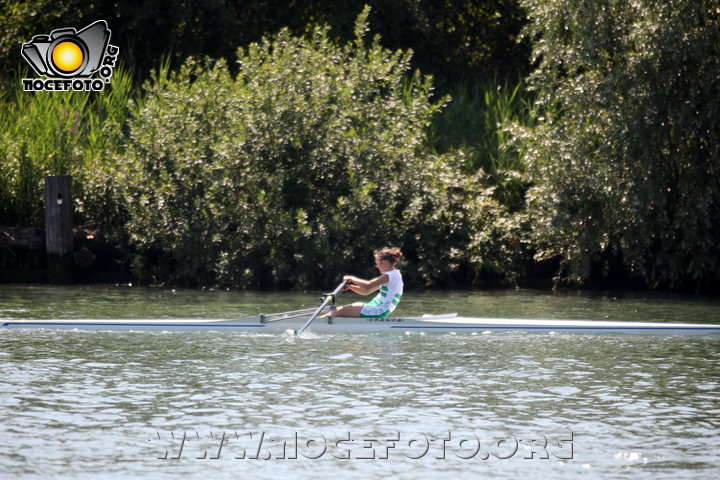 Foto n. 2014-34-313