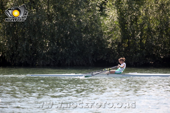 Foto n. 2014-34-315