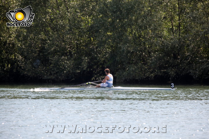 Foto n. 2014-34-432