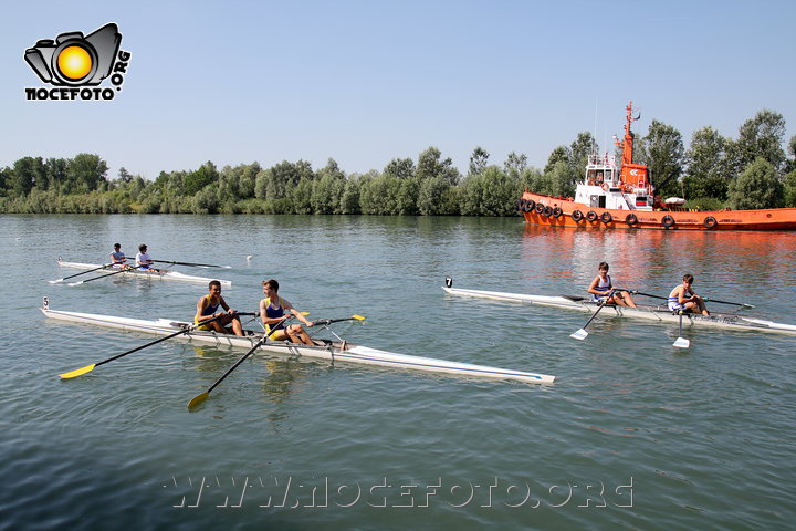 Foto n. 2014-35-8