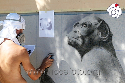 Foto n. 2008-41-190