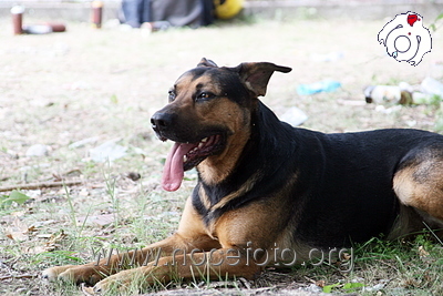 Foto n. 2008-49-60