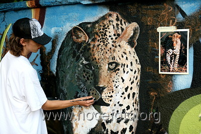 Foto n. 2010-74-104