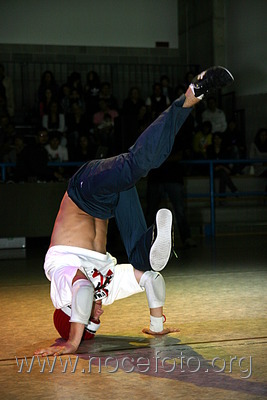 Foto n. 2010-88-175