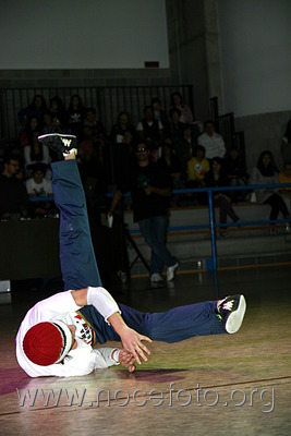 Foto n. 2010-88-199