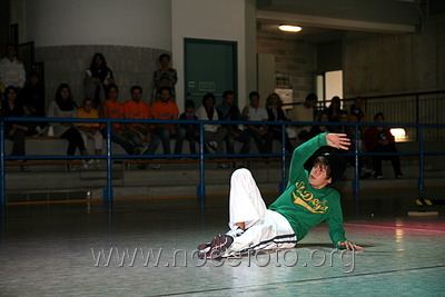 Foto n. 2010-88-245