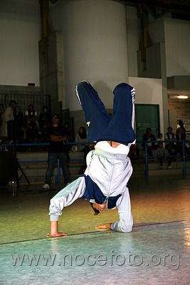 Foto n. 2010-88-398