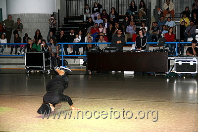 Foto n. 2010-88-636