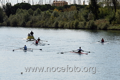 Foto n. 2008-67-482