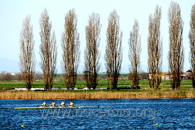 Foto n. 2010-20-60