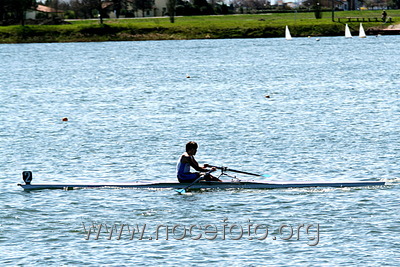 Foto n. 2010-20-250